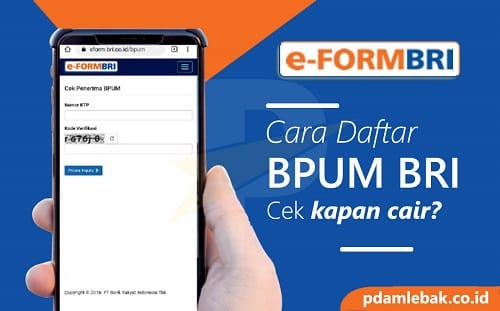 Daftar BPUM BRI Online Offline UMKM Dan Tanggal Kapan Cair